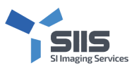 SIIS Logo